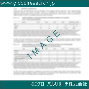 グローバルリサーチ調査資料のイメージ